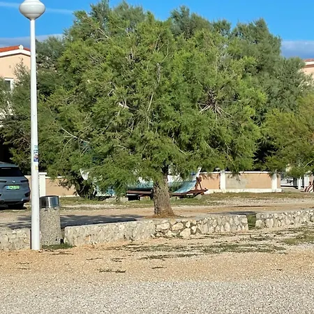 Boja