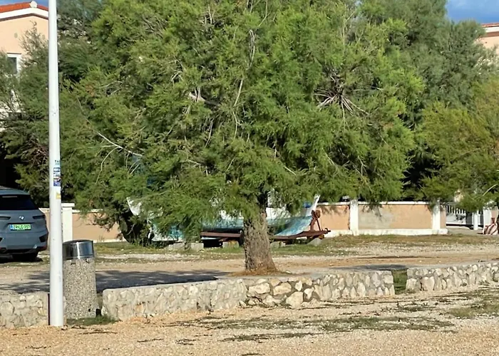 Boja
